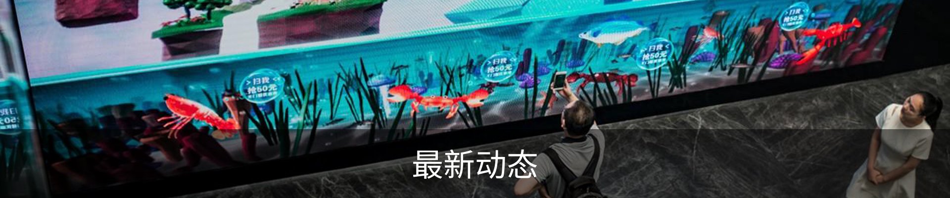 最新动态